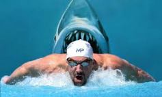 phelps-shark