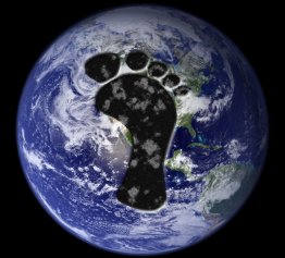 carbon footprint