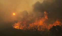 sonoma fire