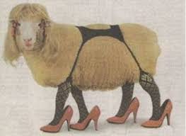 sexy-sheep