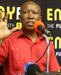 malema