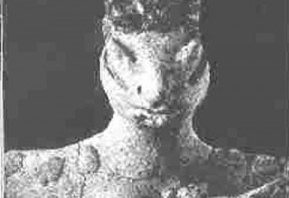draco.jpg