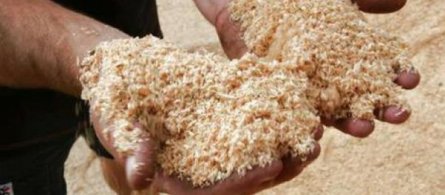 main-qimg-406593c03a7c1ee44f8c13507d556aed-pjlq